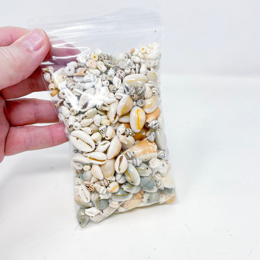 Bag of Shell Beads