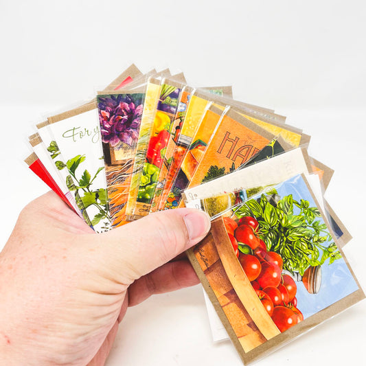 16 Mini Square Illustrated Gift Cards and Envelopes