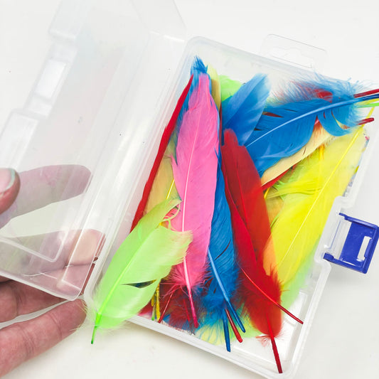 Box of Bright Feathers