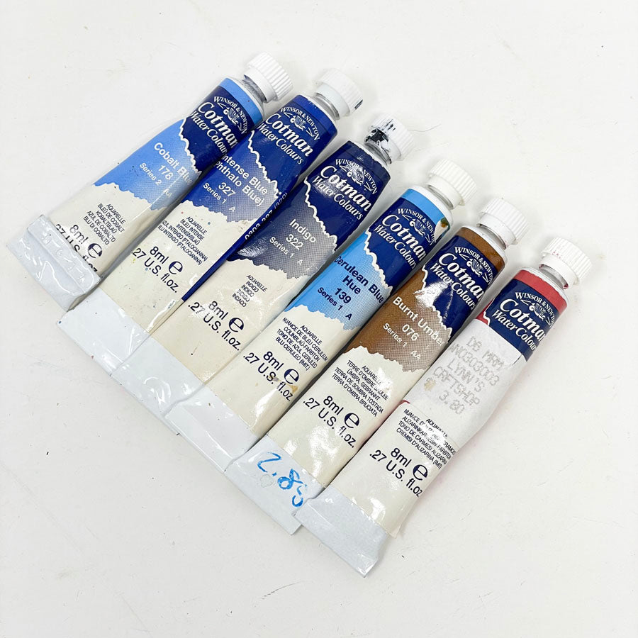 Cotman Water Color Bundle