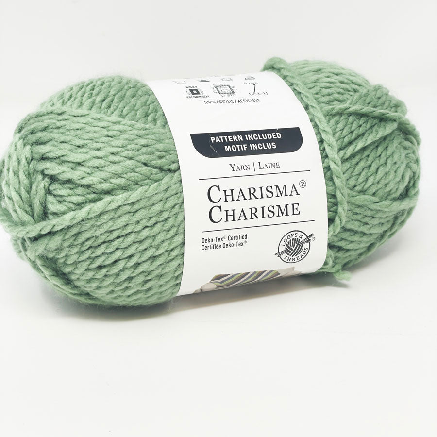 Loops & Threads Yarn - Charisma