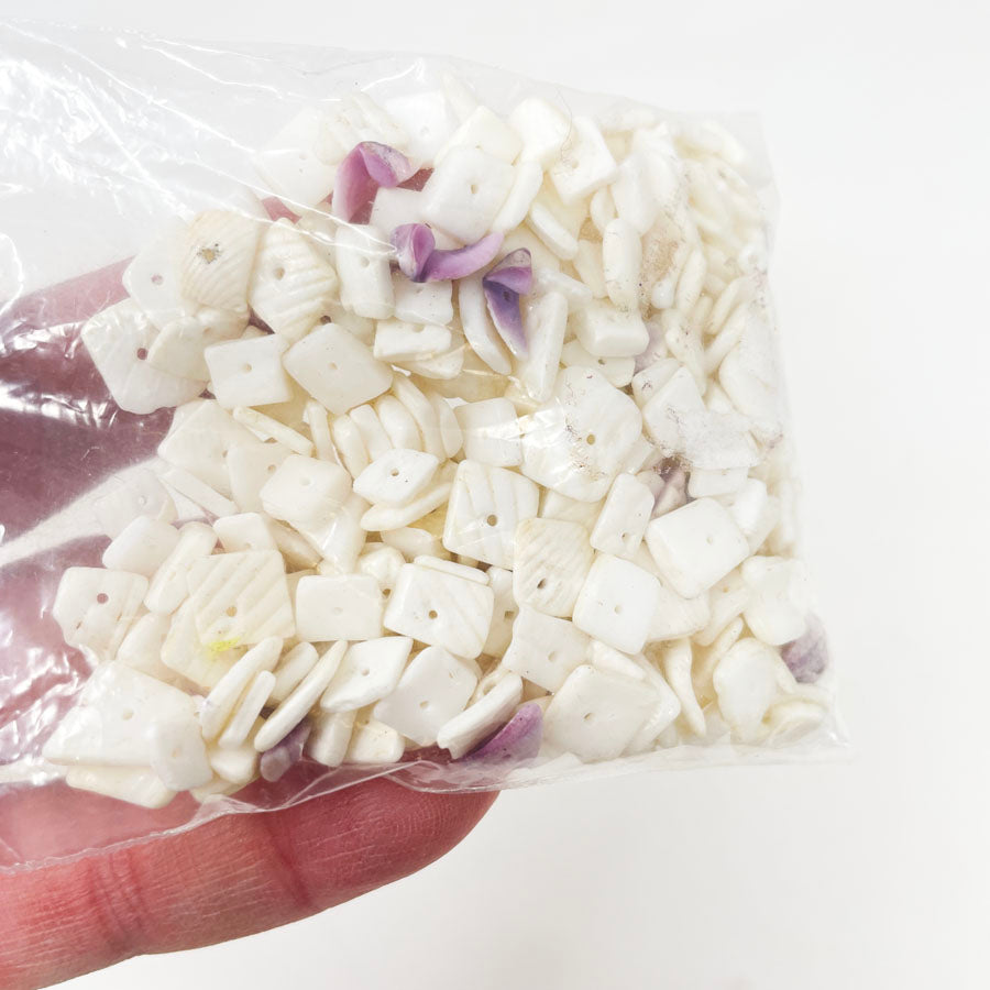 Small Bag of Shell Beads