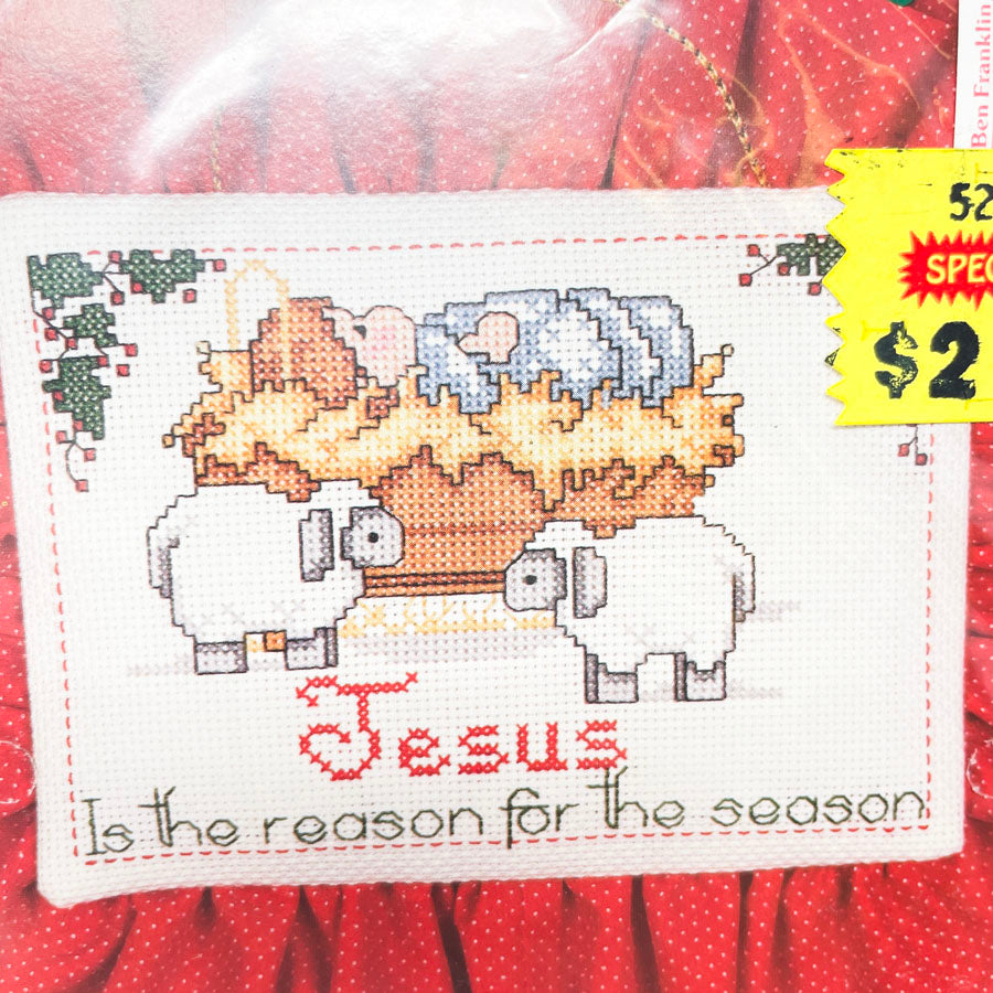 Bucilla Jesus is the Reason Cross Stitch Kit