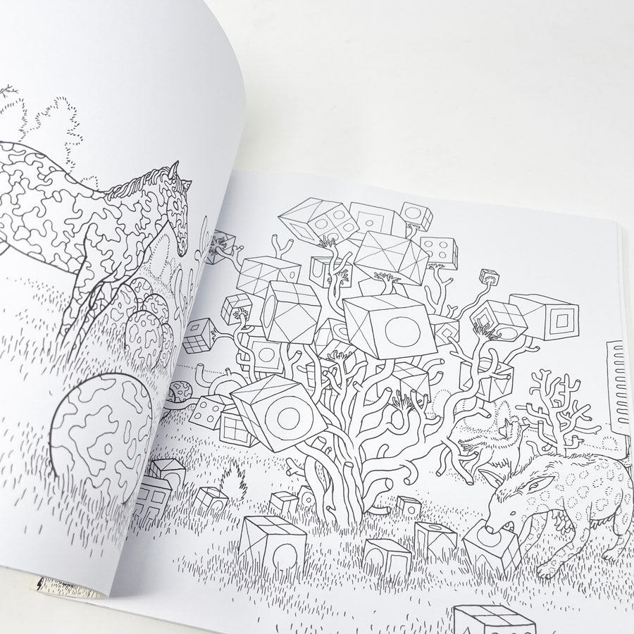 A Walk In Eden Coloring Book